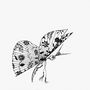  Madama Butterfly - cm 20x20 - (8