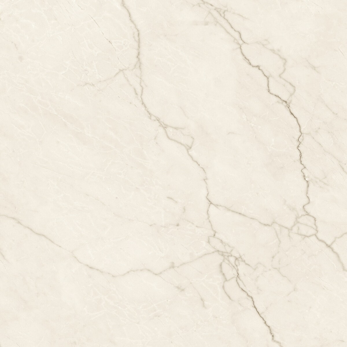 Плитка Vitacer Avorio Cream Natural 120x120